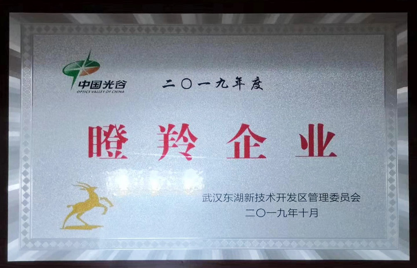 2019年度中國光谷 瞪羚企業